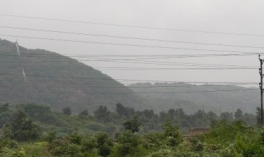 दतिया में 42 मिमी बारिश हुई, मौसम ठंडा हुआ:खेतों में पानी भरने से धान की फसल को 50% तक नुकसान का अंदेशा