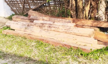 छापा: साल के 13  चिरान बरामद,  आरोपी पर मामला दर्ज