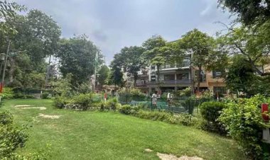 हरियाणा के पार्कों में बड़ा बदलाव! आयोग ने दिए हरे-भरे और सुंदर बनाने के निर्देश