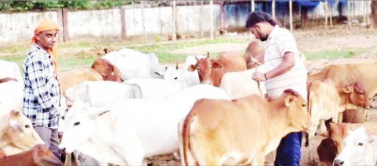 आवारा पशुओं को हादसों से बचाने खाली जमीन की साफ-सफाई कर बना दिया गौठान