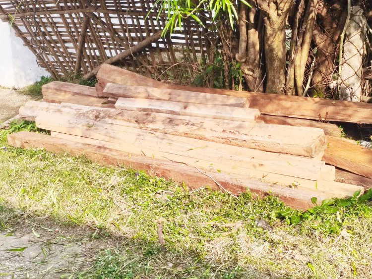 छापा: साल के 13  चिरान बरामद,  आरोपी पर मामला दर्ज